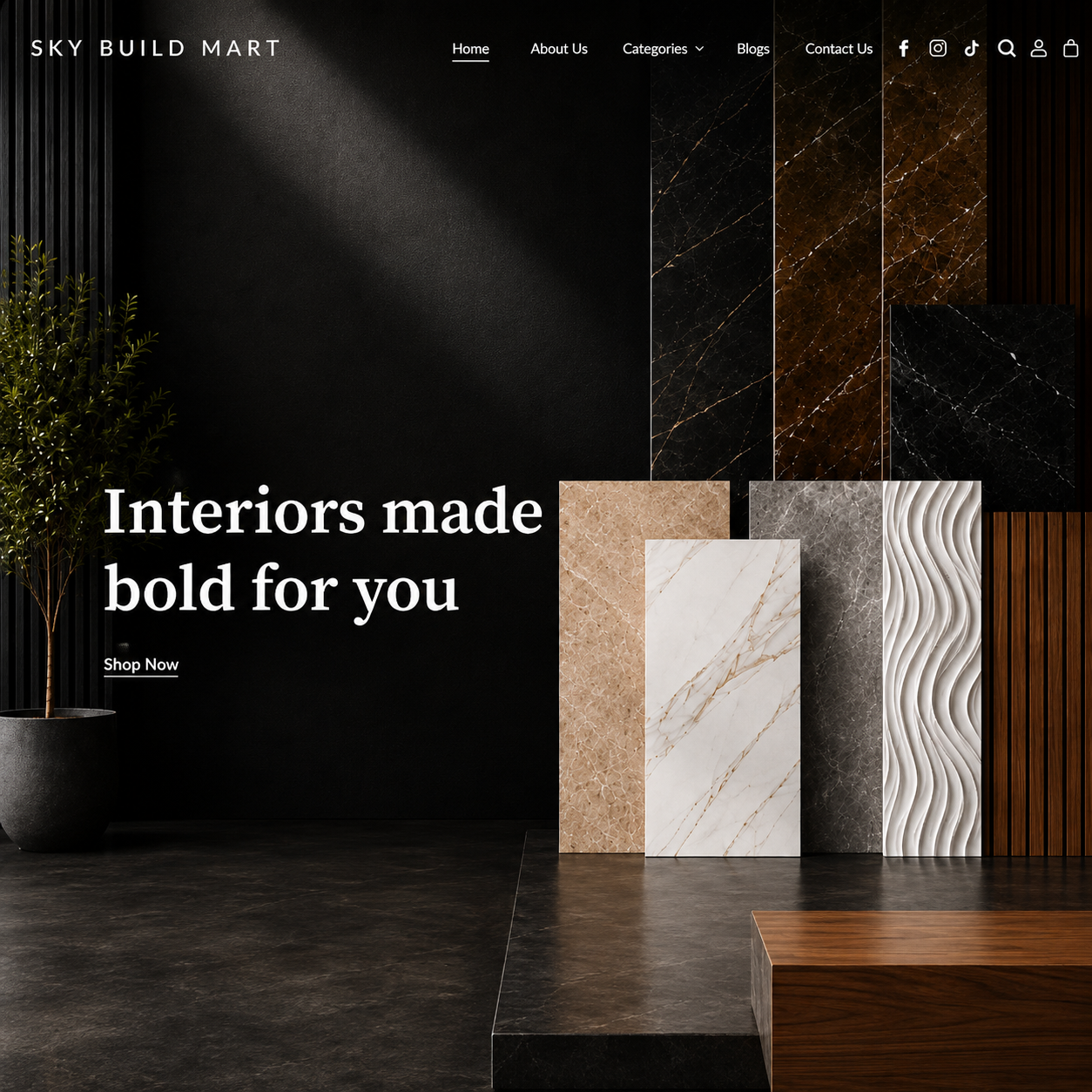 Website preview for Sky Build Mart